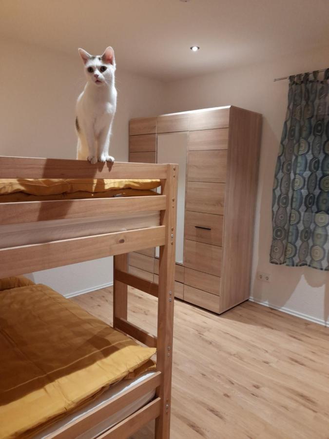 Apartment Traubshof *